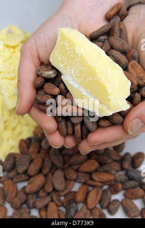 Handewitt, Germania tostati chicchi di cacao in una fabbrica di cioccolato Foto Stock