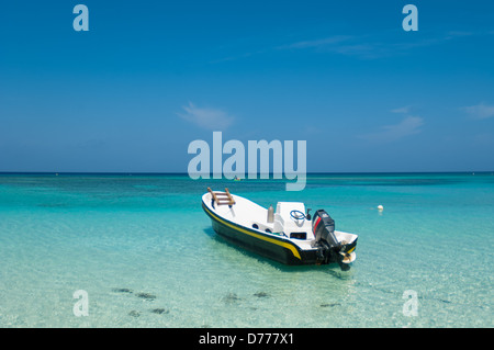 I turisti a languire su una soleggiata spiaggia tropicale mentre è in vacanza nell'Isola di Roatan, Honduras. Foto Stock