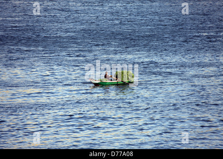 Uomo egiziano IN VERDE LE BARCHE A REMI ed erba fiume Nilo in Egitto il 09 gennaio 2013 Foto Stock