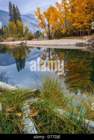 Parco Nazionale di Yosemite, CA: Calma riflessioni lungo il fiume Merced con cupola sentinella della distanza per l'autunno. Foto Stock