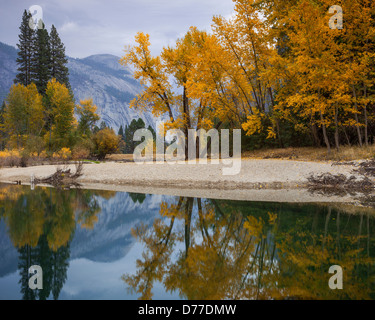 Parco Nazionale di Yosemite, CA: Calma riflessioni lungo il fiume Merced con cupola sentinella della distanza per l'autunno. Foto Stock