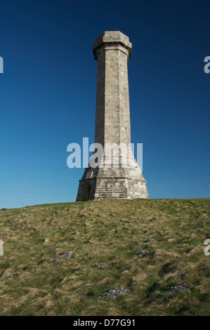 L'ardito monumento, eretto nel 1844 in memoria del Vice Ammiraglio Sir Thomas Hardy che ha servito con Nelson nella battaglia di Trafalgar. Il Dorset, Inghilterra. Regno Unito. Foto Stock