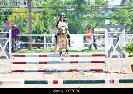 Equestre non identificato con cavallo al XI Concorso Coppa Nawamintr "Queen's Cup' il 27 aprile 2013 a Chon Buri, Thailandia. Foto Stock