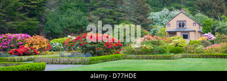 Shore acri del parco statale, o: I Simpson Station Wagon la casa e il giardino in primavera con azalee e rododendri in fiore. Foto Stock