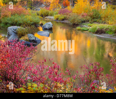 Wenatchee National Forest, WA: caduta di colori che riflettono sul fiume Wenatchee in Tumwater Canyon Foto Stock