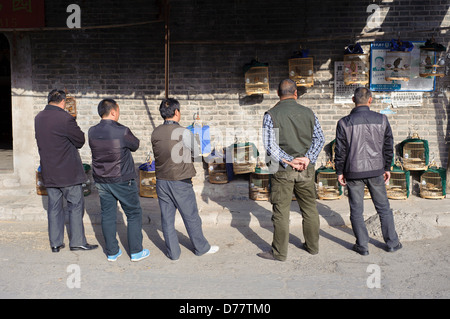 Un gruppo di uomini stanno intorno loro gabbie di uccelli nella zona centrale della città cinese di Kaifeng, nella provincia di Henan Foto Stock