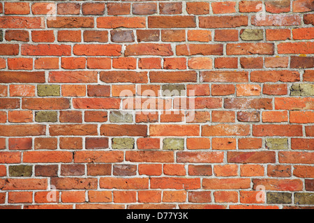 Muro di mattoni, Paesi Bassi, Noordholland, Enkhuizen Foto Stock