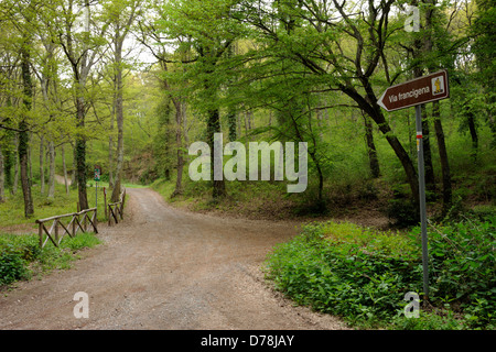 Italia, Lazio, via Francigena vicino Bolsena Foto Stock