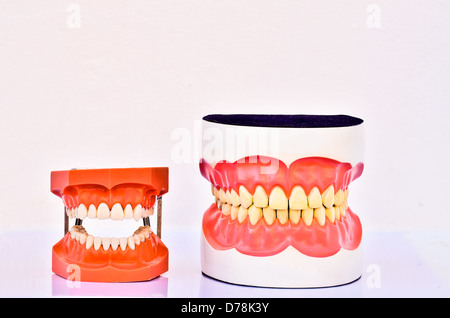 Una coppia di plastica denti umani modelli Foto Stock