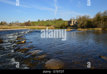 Pietre miliari attraverso il Fiume Wharfe vicino a Linton sul modo Dales a lunga distanza sentiero Wharfedale Yorkshire. Foto Stock