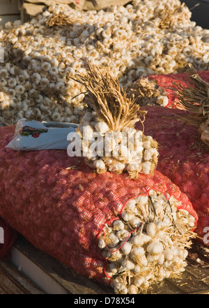 Turchia, Aydin Provincia, Kusadasi, fasci di aglio per la vendita al mercato settimanale. Foto Stock