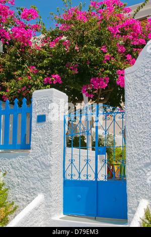 Bella strada vuota e la classica architettura tradizionale con fiori colorati sull isola di Santorini in Fira, Grecia. Foto Stock
