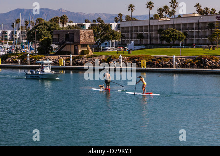 Un paio di fare stand up paddle imbarco nel Porto delle Channel Islands, Oxnard in California, Stati Uniti d'America Foto Stock