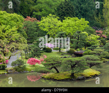 Seattle, WA: Primavera vista del lago del giardino giapponese a Washington Park Arboretum Foto Stock