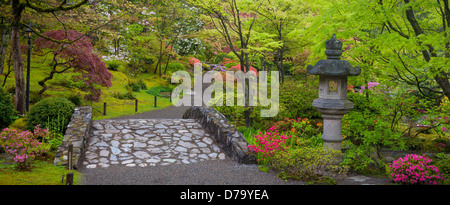 Seattle, WA: ponte di pietra e lanterna con colori di primavera in Washington Park Arboretum il giardino giapponese Foto Stock