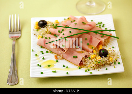 La Turchia i rotoli con la quinoa. Ricetta disponibile. Foto Stock