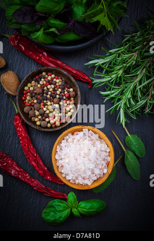 Erbe e spezie su sfondo nero Foto Stock