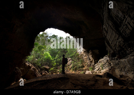 Turismo a piedi l'ingresso alla grotta grande Ankarana Parco nazionale del Madagascar Foto Stock