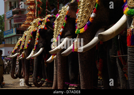 Caparisoned elefanti nel famoso Festival tempio del Kerala, Thrissur Pooram, che si svolge nel mese di aprile/maggio . Foto Stock