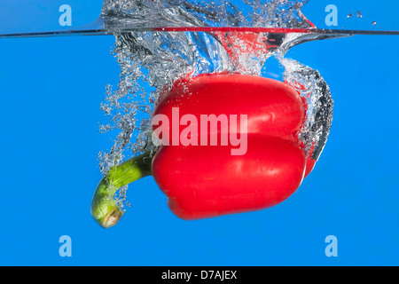 Peperone rosso è sceso in acqua. Foto Stock