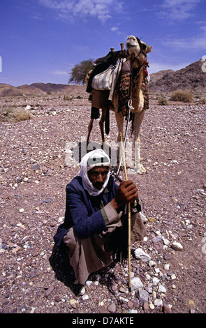 Il nomade beduino membro della tribù Zawaideh, nativo per i deserti della Giordania Meridionale e western Arabia Saudita con il suo cammello nel Wadi Rum desert conosciuta anche come la Valle della Luna in Giordania Meridionale Foto Stock