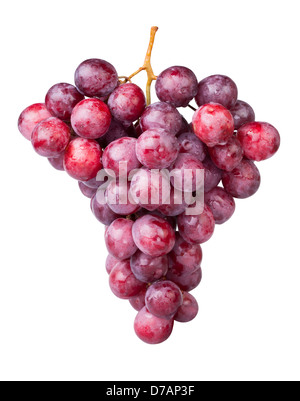 Uva rossa su sfondo bianco Foto Stock