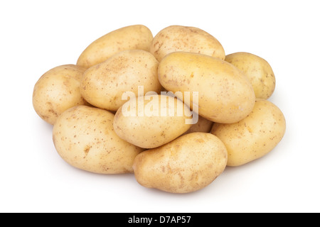 Nuovo di patate su sfondo bianco Foto Stock