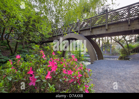 Arch piede legno Ponte a Crystal Springs Rhododendron Giardino con azalee che fiorisce in primo piano Foto Stock