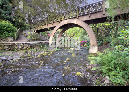 Passi per il ponte di legno archi presso Crystal Springs Rhododendron Garden Foto Stock