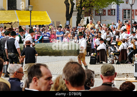 Sollevamento tradizionale del Maypole ( Maibaum-Aufstellen ) Foto Stock