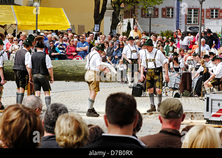 Sollevamento tradizionale del Maypole ( Maibaum-Aufstellen ) Foto Stock