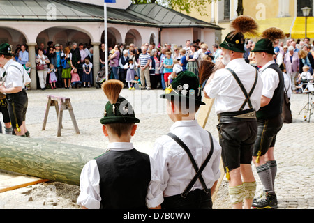 Sollevamento tradizionale del Maypole ( Maibaum-Aufstellen ) Foto Stock