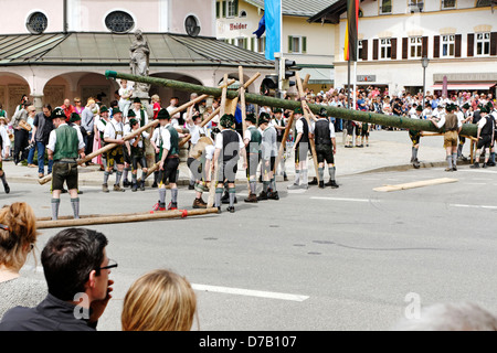 Sollevamento tradizionale del Maypole ( Maibaum-Aufstellen ) Foto Stock