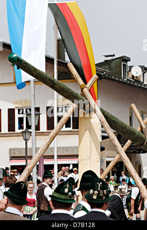 Sollevamento tradizionale del Maypole ( Maibaum-Aufstellen ) Foto Stock