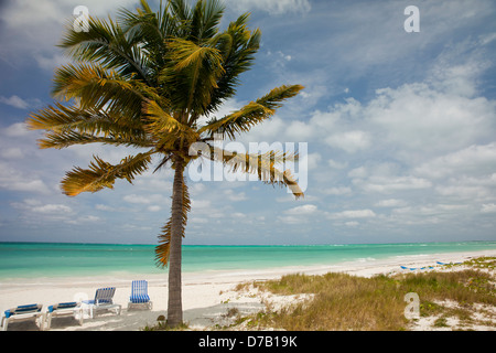 Presso la spiaggia dell'isola Cayo Levisa, Pinar del Rio, Cuba, Caraibi Foto Stock