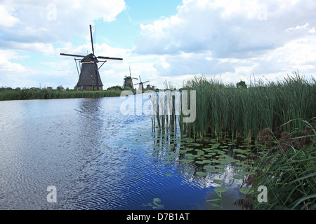 I Paesi Bassi, i mulini a vento di Kinderdijk, patrimonio mondiale dell UNESCO Foto Stock