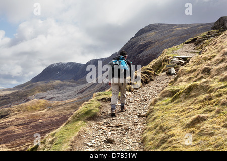 Una crescente dello scuotipaglia sul pony percorso sulla montagna gallese Cadair Idris nel Parco Nazionale di Snowdonia, Gwynedd, Galles, Aprile 2013 Foto Stock