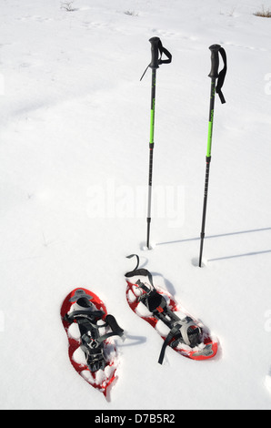 Still Life of Snowshoes or Snow Shoes and Ski Pole or Ski Pole in Snow Foto Stock