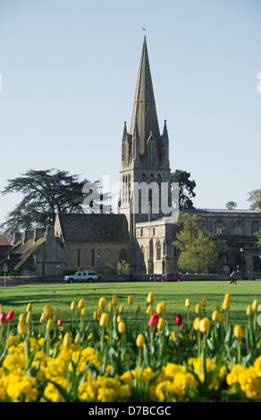 WITNEY, OXFORDSHIRE, Regno Unito. Una veduta della chiesa di colore verde e la chiesa di Santa Maria Vergine. 2013. Foto Stock