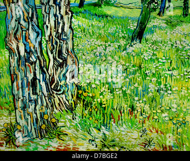 Tronchi di alberi in erba 1890 Vincent van Gogh 1853- 1890 Paesi Bassi Paesi Bassi Foto Stock