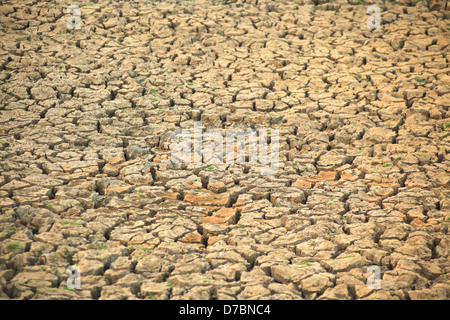Terra incrinata Foto Stock