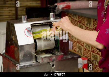 Succo di canna da zucchero prodotte per la preparazione di cocktail. Spagna. Foto Stock