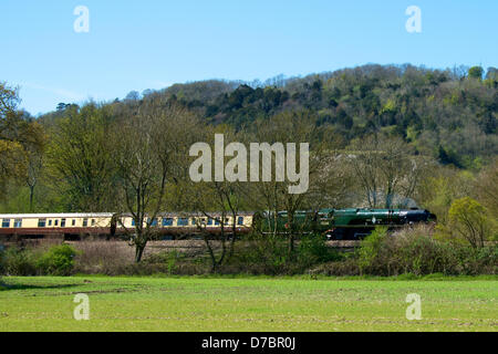 Buckland, Surrey, Regno Unito. Il 3 maggio 2013. Il British Pullman VS Orient Express locomotiva a vapore BR(S) Marina Mercantile Clan Classe Linea 4-6-2 n. 35028 velocità attraverso le colline del Surrey a Buckland, Dorking in Surrey, 1500hrs venerdì 3 maggio 2013 lungo il tragitto per la stazione di London Victoria. Foto di Lindsay Constable/Alamy Live News Foto Stock