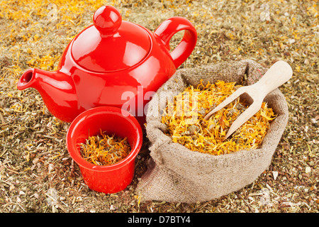 Borsa con erbe curative e tè rosso bollitore, medicine a base di erbe Foto Stock