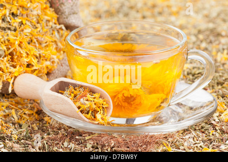 Tazza di tè alle erbe e alle erbe curative Foto Stock