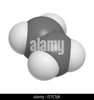 Etilene (ETENE) ormone vegetale e polietilene (PE) blocchi di costruzione, modello molecolare. Gli atomi sono rappresentati come sfere Foto Stock