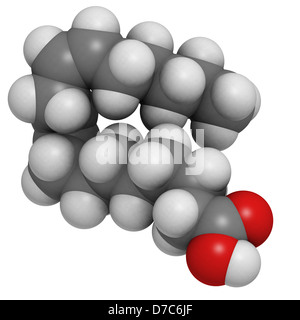 Omega-6 grassi insaturi (acido linoleico, LA), modello molecolare. Gli atomi sono rappresentati come sfere. Foto Stock