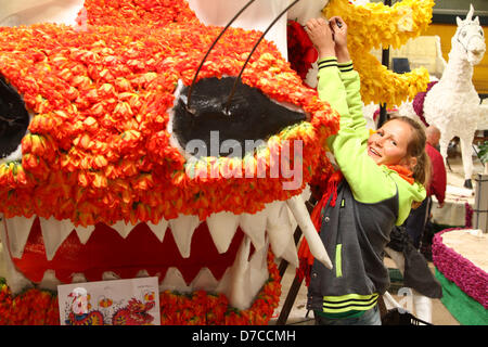 Spalding, Lincolnshire, Regno Unito. Il 3 maggio 2013. Spalding Festival dei Fiori - 99% di riduzione in tulip capi Foto Stock