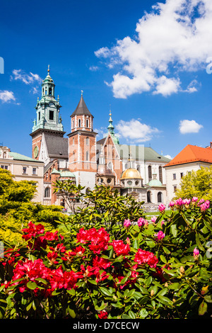 La Polonia, Cracovia. Cattedrale di Wawel con fiori colorati in primo piano Foto Stock