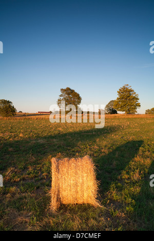 Balla di fieno al tramonto con il blu del cielo. Simcoe County, Ontario, Canada. Foto Stock